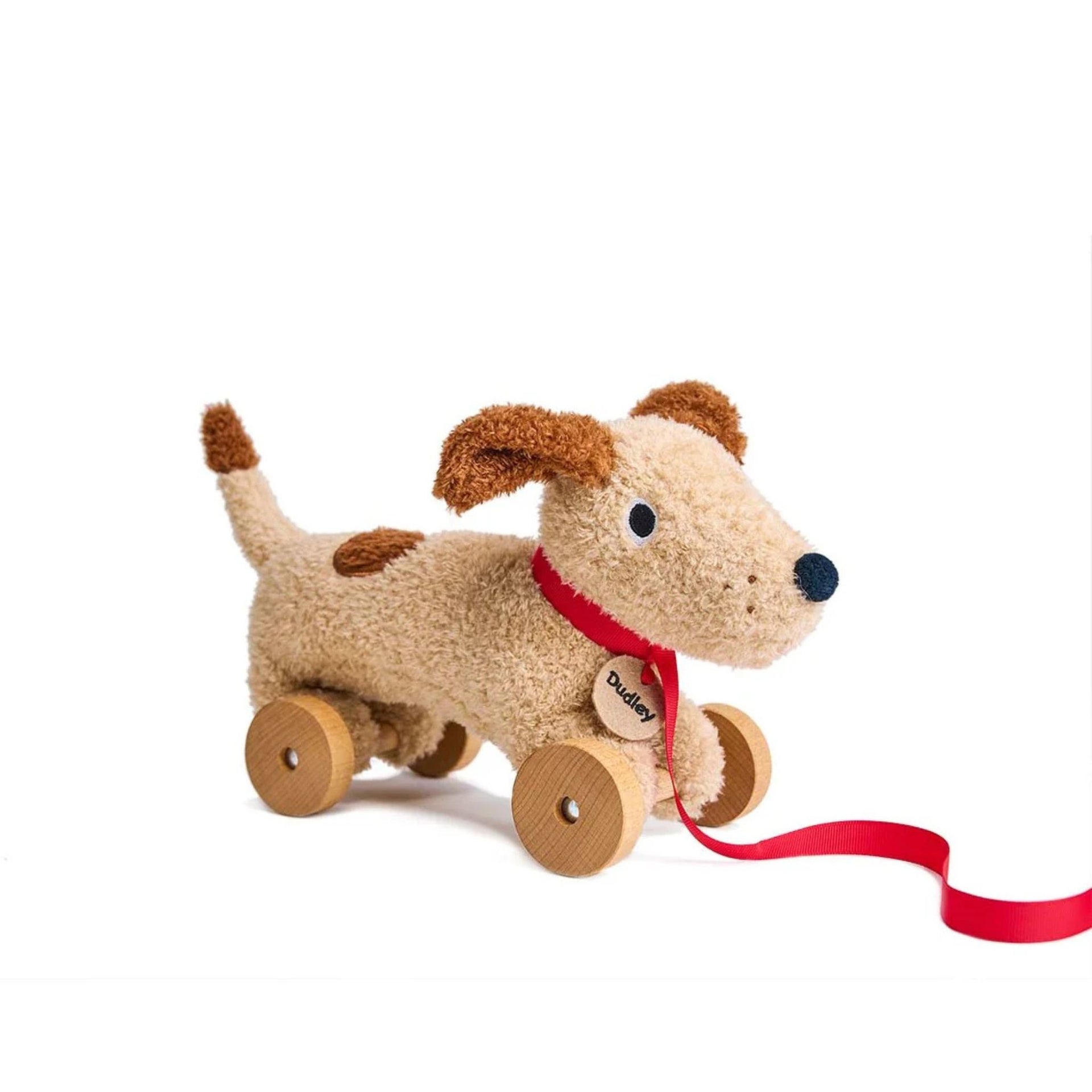 Thread Bear Design Dudley Pull Along Dog