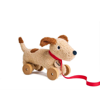 Thread Bear Design Dudley Pull Along Dog