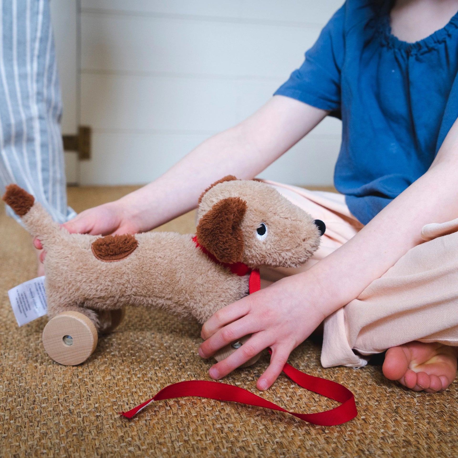 Thread Bear Design Dudley Pull Along Dog