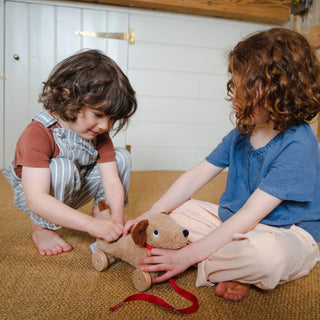 Thread Bear Design Dudley Pull Along Dog