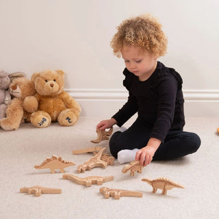TickiT Dinosaur Wooden Blocks