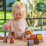 TickiT Village Blocks