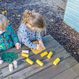 Yellow Door Let's Roll - Garden Bugs