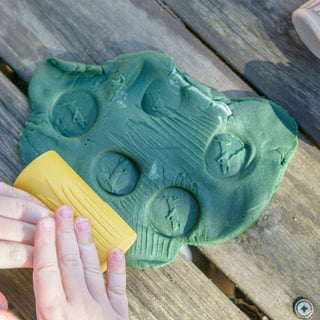 Yellow Door Let's Roll - Garden Bugs