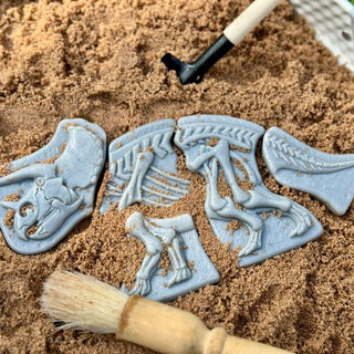 Yellow Door Dig & Discover - Triceratops & Spinosaurus