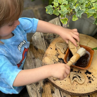 Yellow Door Dig & Discover - Triceratops & Spinosaurus