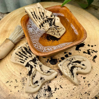 Yellow Door Dig & Discover - Triceratops & Spinosaurus