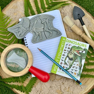 Yellow Door Dig & Discover - Triceratops & Spinosaurus