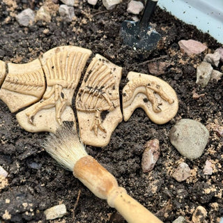 Yellow Door Dig & Discover - Triceratops & Spinosaurus