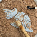 Yellow Door Dig & Discover - Triceratops & Spinosaurus