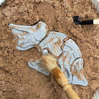 Yellow Door Dig & Discover - Triceratops & Spinosaurus