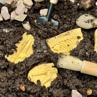 Yellow Door Dig & Discover - Pliosaur & Stegosaurus