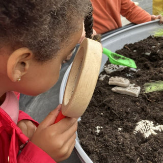 Yellow Door Dig & Discover - Pliosaur & Stegosaurus