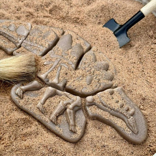 Yellow Door Dig & Discover - Pliosaur & Stegosaurus