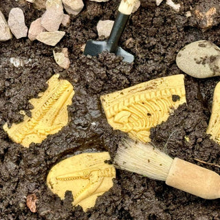 Yellow Door Dig & Discover - Pliosaur & Stegosaurus