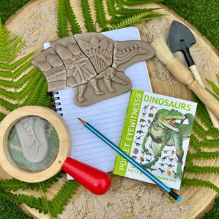 Yellow Door Dig & Discover - Pliosaur & Stegosaurus