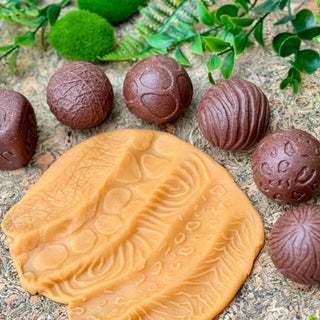 Yellow Door Roll Around - Wild Animals