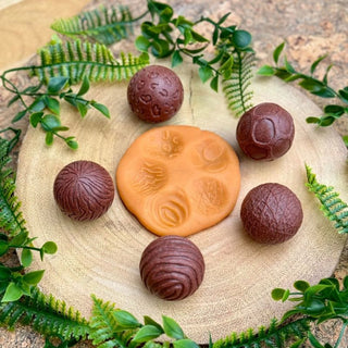 Yellow Door Roll Around - Wild Animals