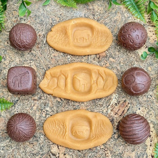 Yellow Door Roll Around - Wild Animals