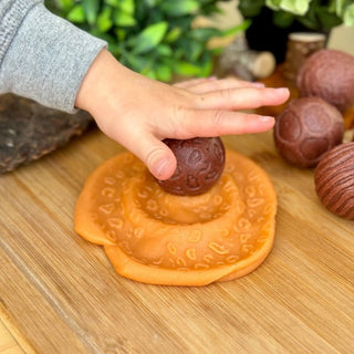 Yellow Door Roll Around - Wild Animals