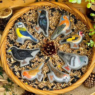 Yellow Door Sensory Play Stones - Birds