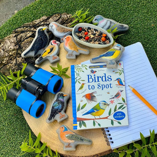Yellow Door Sensory Play Stones - Birds