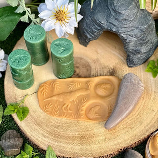 Yellow Door Let's Roll - Dinosaurs