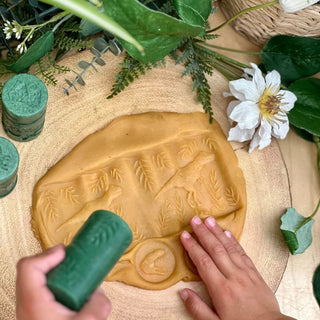 Yellow Door Let's Roll - Dinosaurs