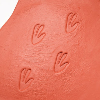 Yellow Door Let's Investigate - Dinosaur Footprints