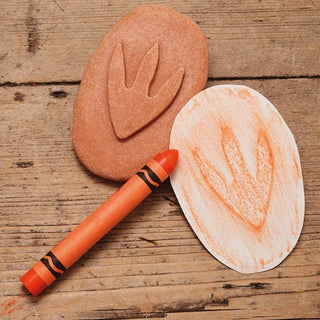 Yellow Door Let's Investigate - Dinosaur Footprints