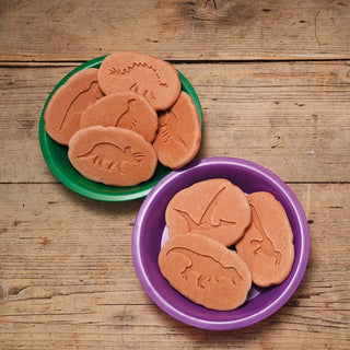 Yellow Door Let's Investigate - Dinosaur Footprints