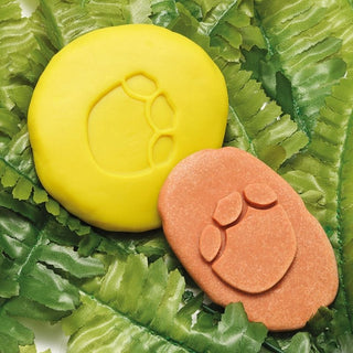 Yellow Door Let's Investigate - Dinosaur Footprints