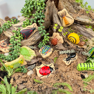 Yellow Door Sensory Play Stones - Bugs