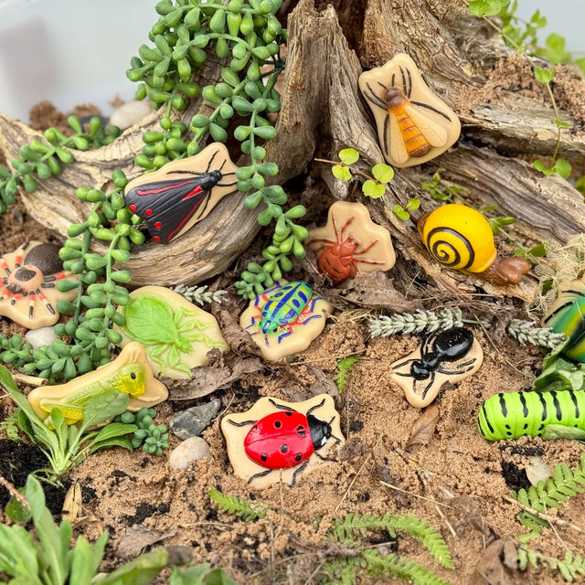 Yellow Door Sensory Play Stones - Bugs