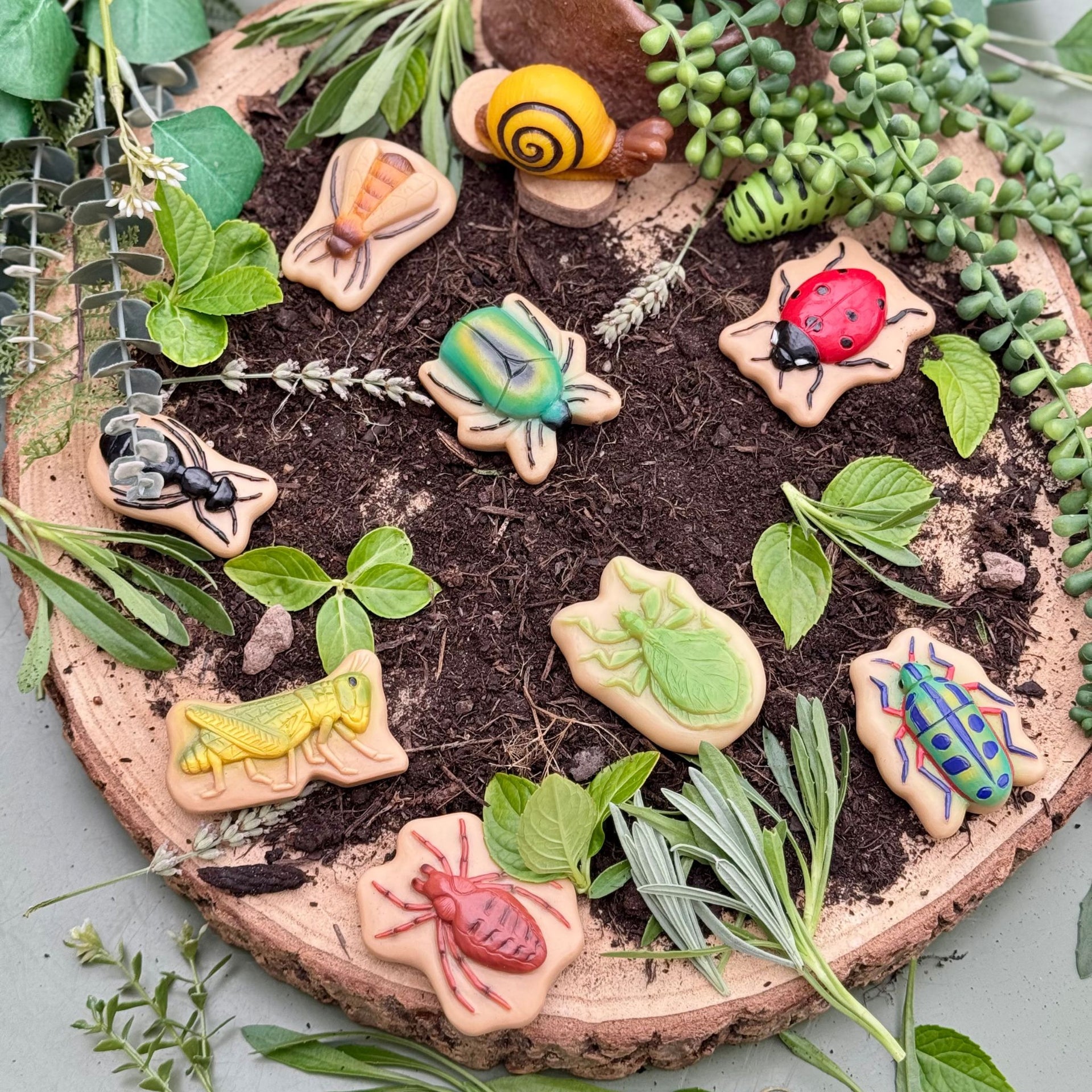 Yellow Door Sensory Play Stones - Bugs