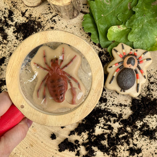 Yellow Door Sensory Play Stones - Bugs