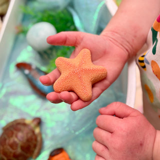 Yellow Door Sensory Play Stones - Ocean Life