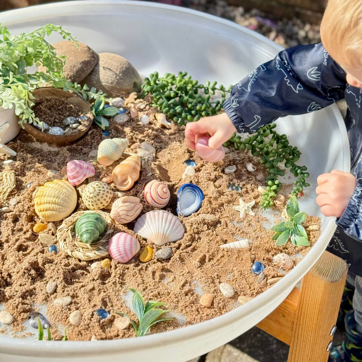 Yellow Door Sensory Play Stones - Seashells
