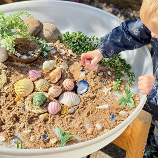 Yellow Door Sensory Play Stones - Seashells