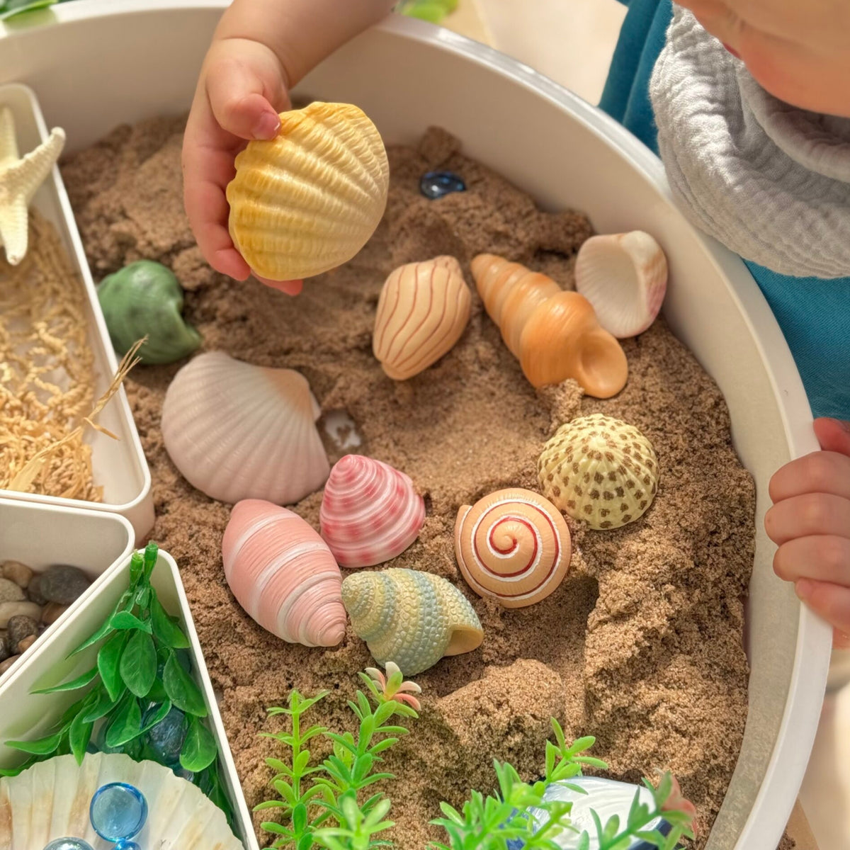 Yellow Door Sensory Play Stones - Seashells