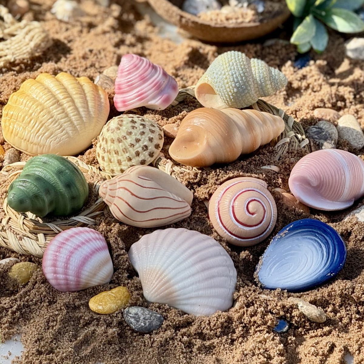 Yellow Door Sensory Play Stones - Seashells