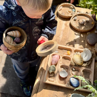 Yellow Door Sensory Play Stones - Seashells
