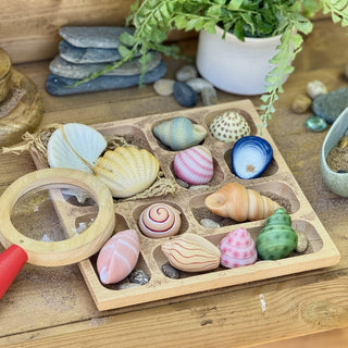 Yellow Door Sensory Play Stones - Seashells