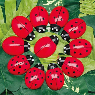 Yellow Door Ladybug Counting Stones