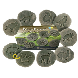 Yellow Door Let's Investigate - Woodland Footprints