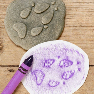 Yellow Door Let's Investigate - Woodland Footprints