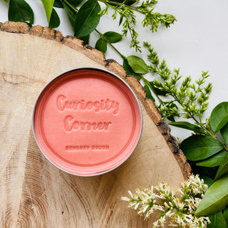 Curiosity Corner Sensory Dough - Spring Rose Pink