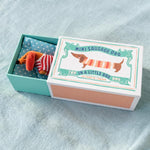 Rex London - Mini Sausage Dog In A Box