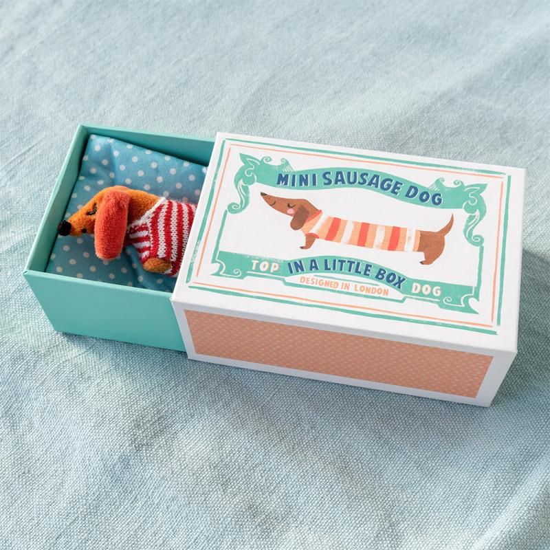 Rex London - Mini Sausage Dog In A Box