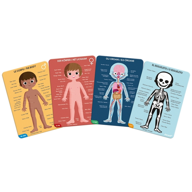 Janod Educational Puzzle Human Body | The Kid Collective